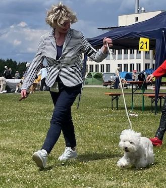 Flying Westies On Fire