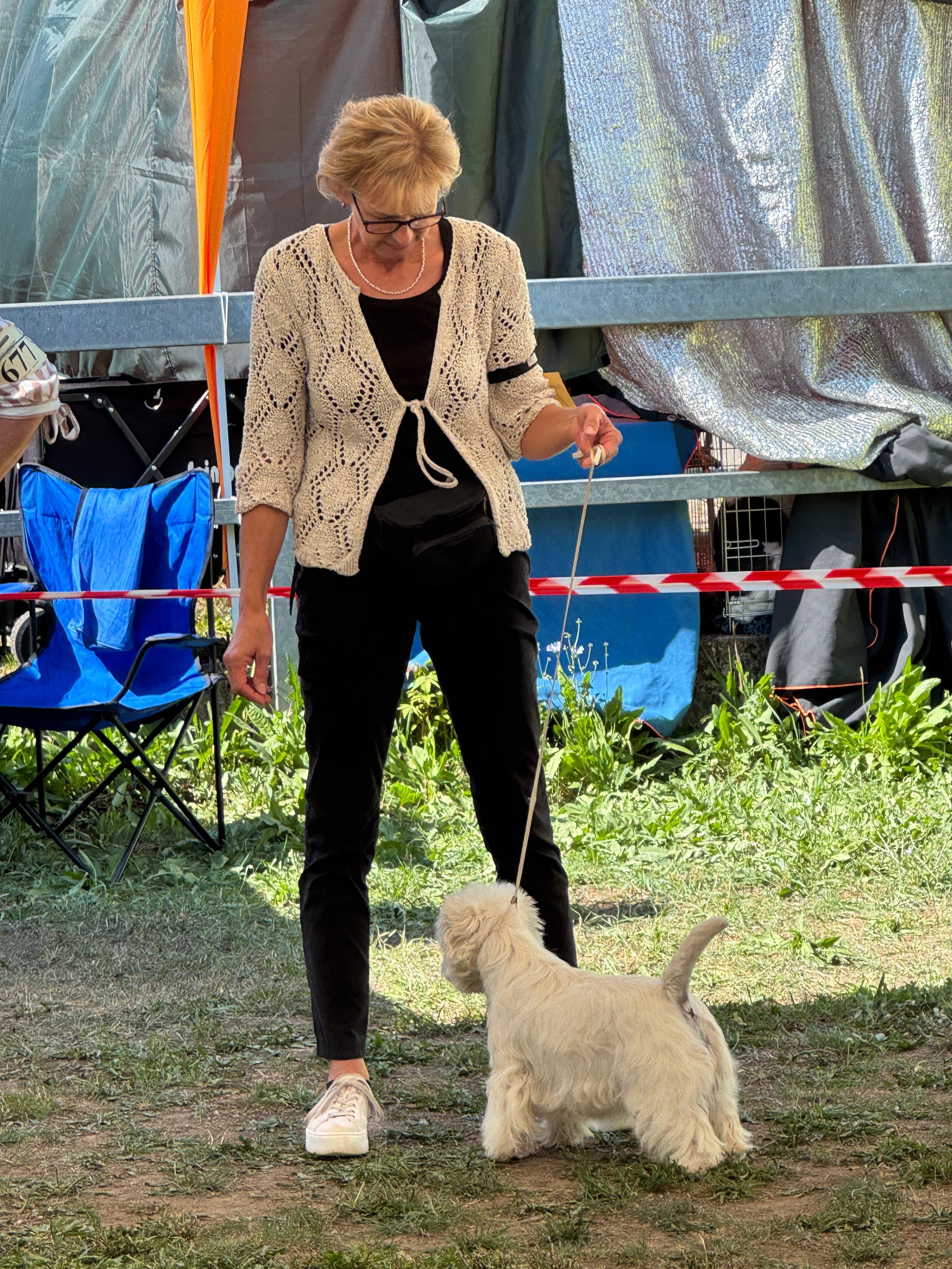 Sovereign Santos Summer Fairy Tale Sovereign Santos Summer Fairy Tale