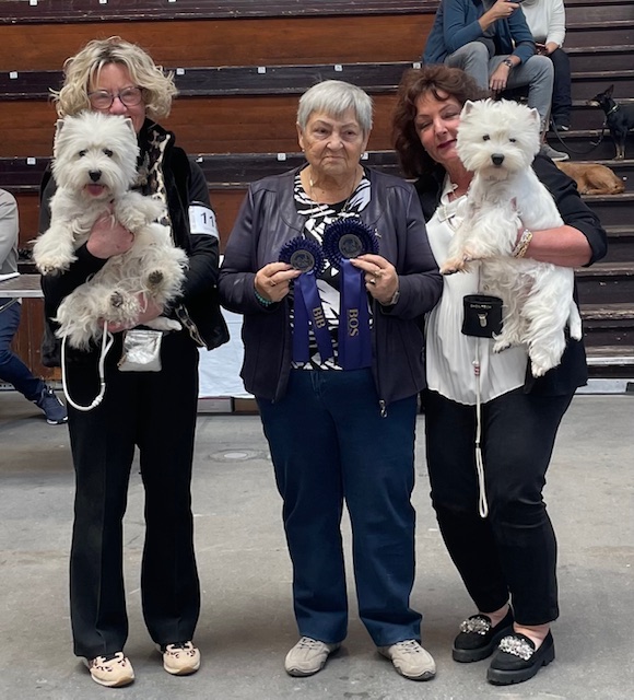 Flying Westies Right Now Of White Castle