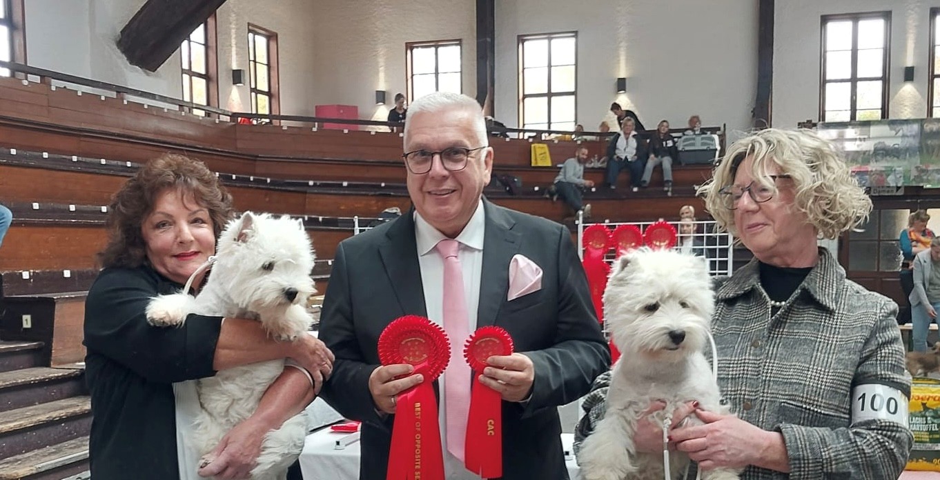 Beste Hündin V1 CAC VDH Flying Westies On Fire Beste Hündin V1 CAC VDH Flying Westies On Fire