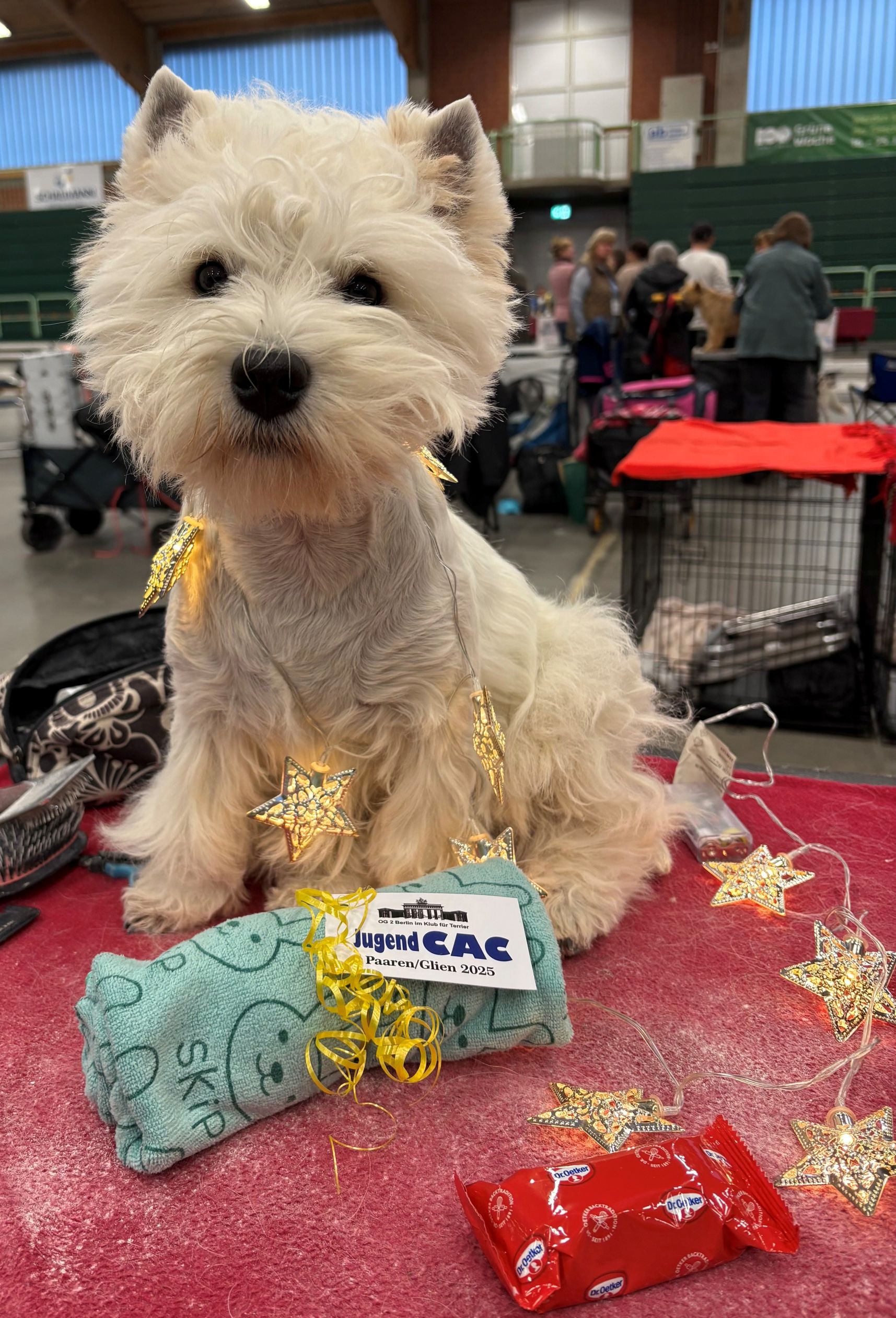 Flying Westies Runaway Bride