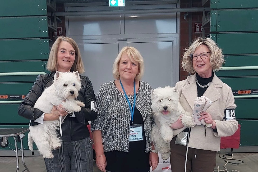 Bester Junghund - BOS