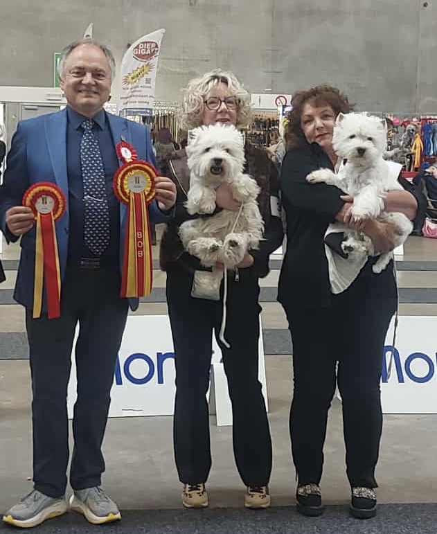 BOB Jugend Flying Westies Right Now Of White Castle