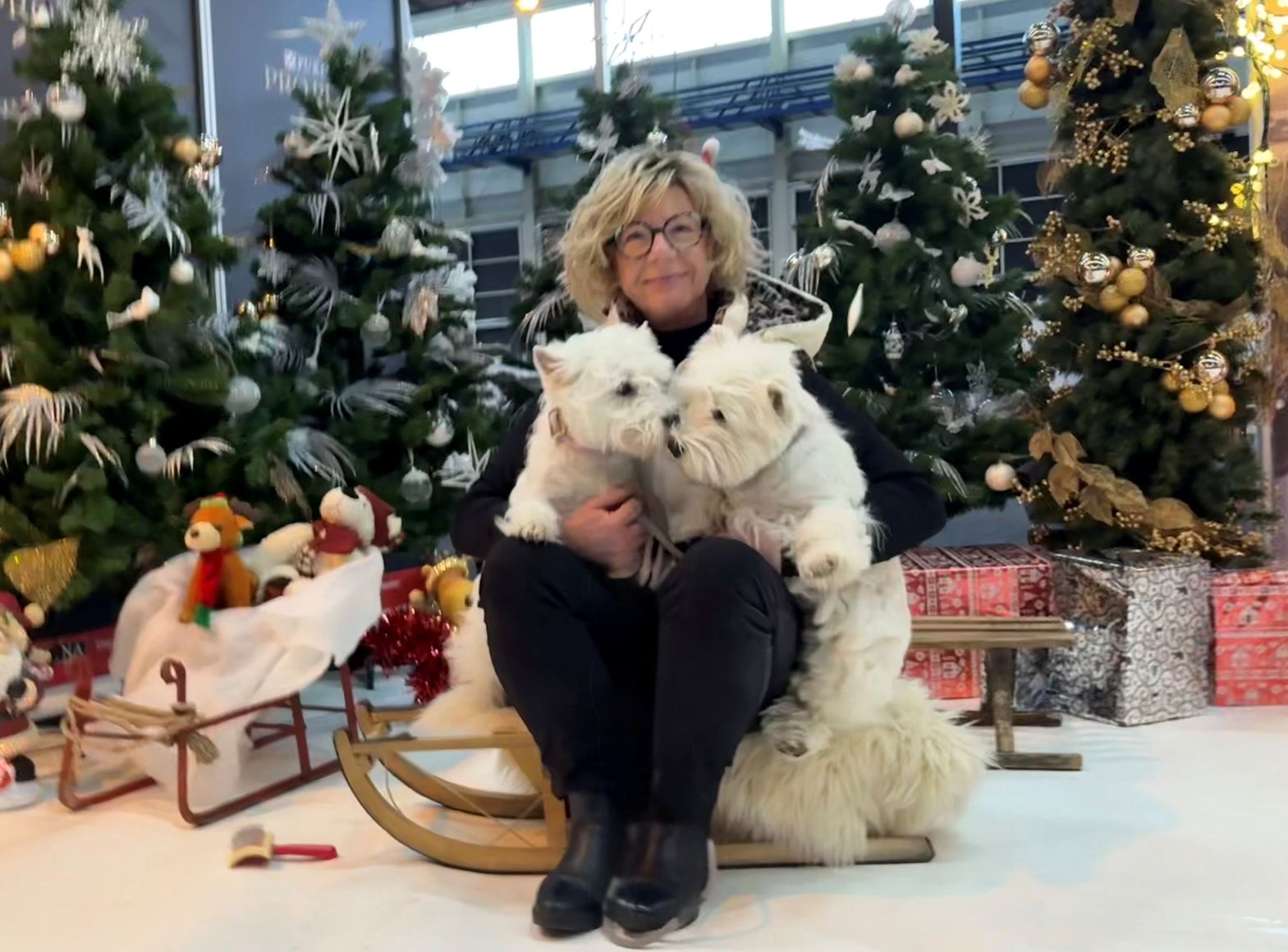 Flying Westies Runaway Bride-Flying Westies On Fire