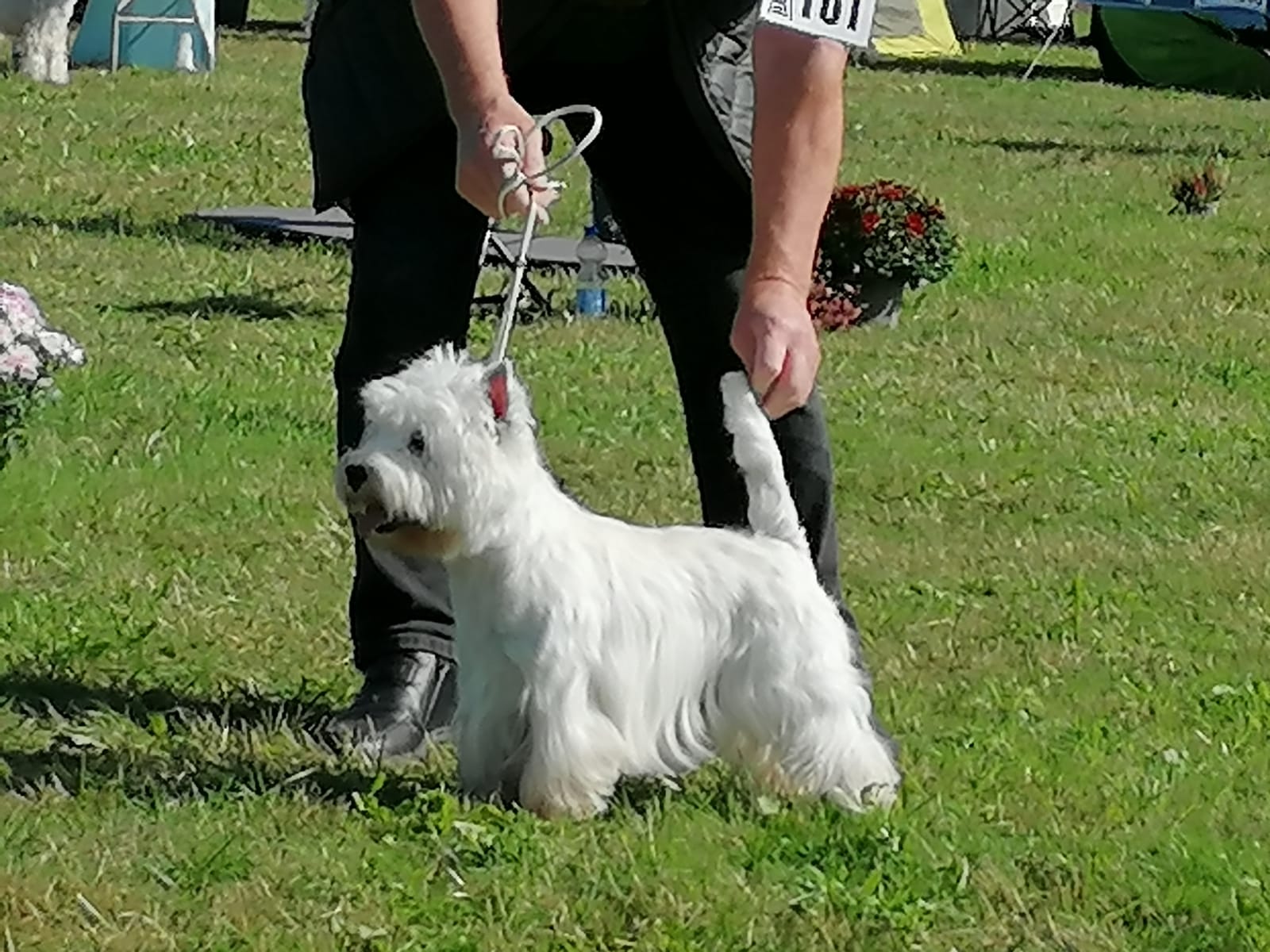 One And Only White Lazy Bones One And Only White Lazy Bones