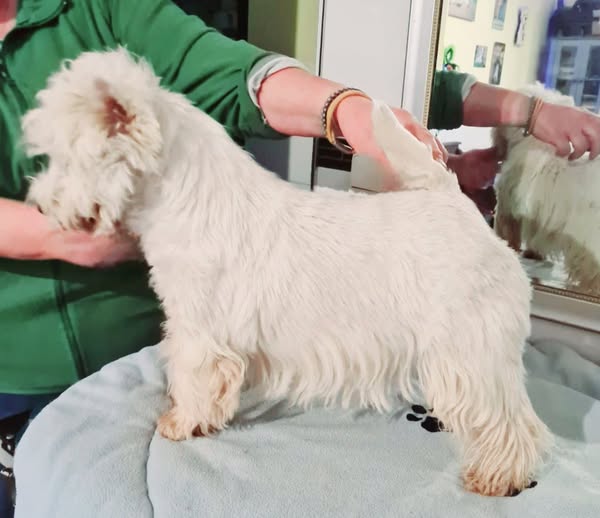 Update's Panta Rhei Vom Nopper-Hof